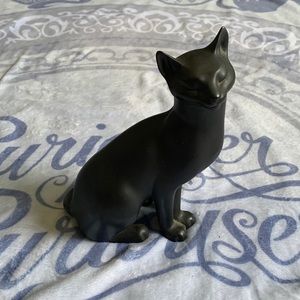 Counterpoint black cat